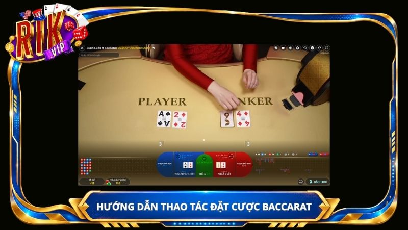 Hướng dẫn thao tác đặt cược trong giao diện